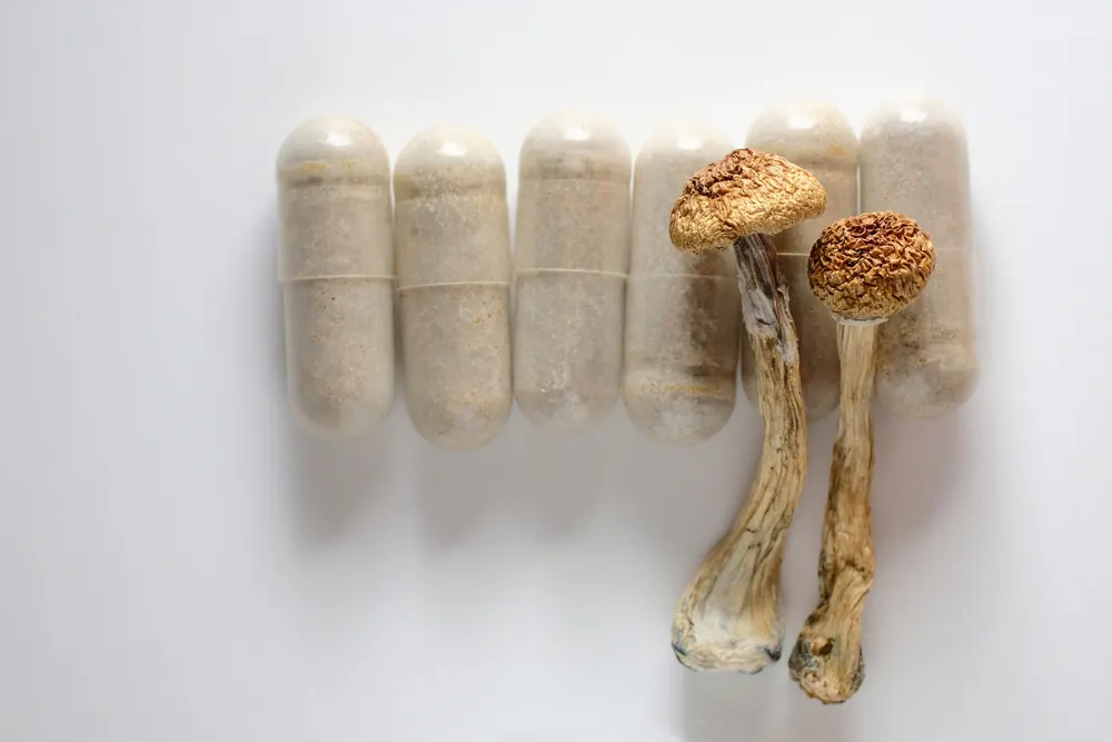 mushroom dispensary Ann Arbor Michigan